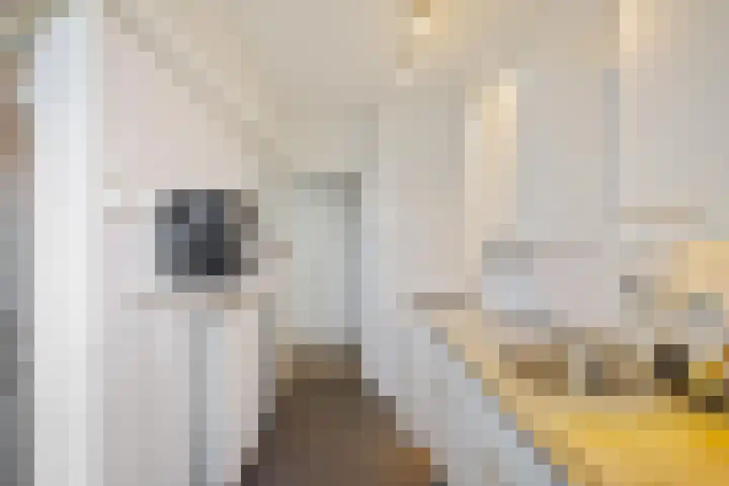 Spieghelstraat 98 Groningen thumbnail 8