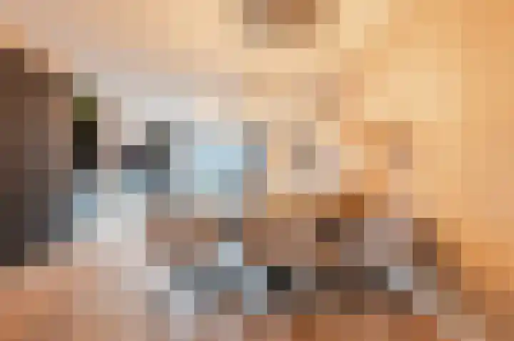 Spieker 15 Heeze thumbnail 12