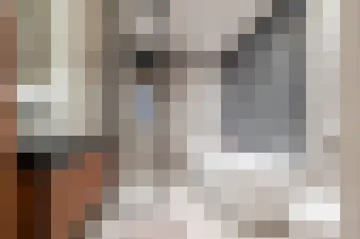 Spieker 15 Heeze thumbnail 25