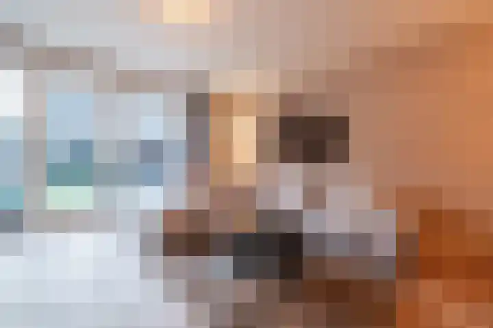 Spieker 15 Heeze thumbnail 5