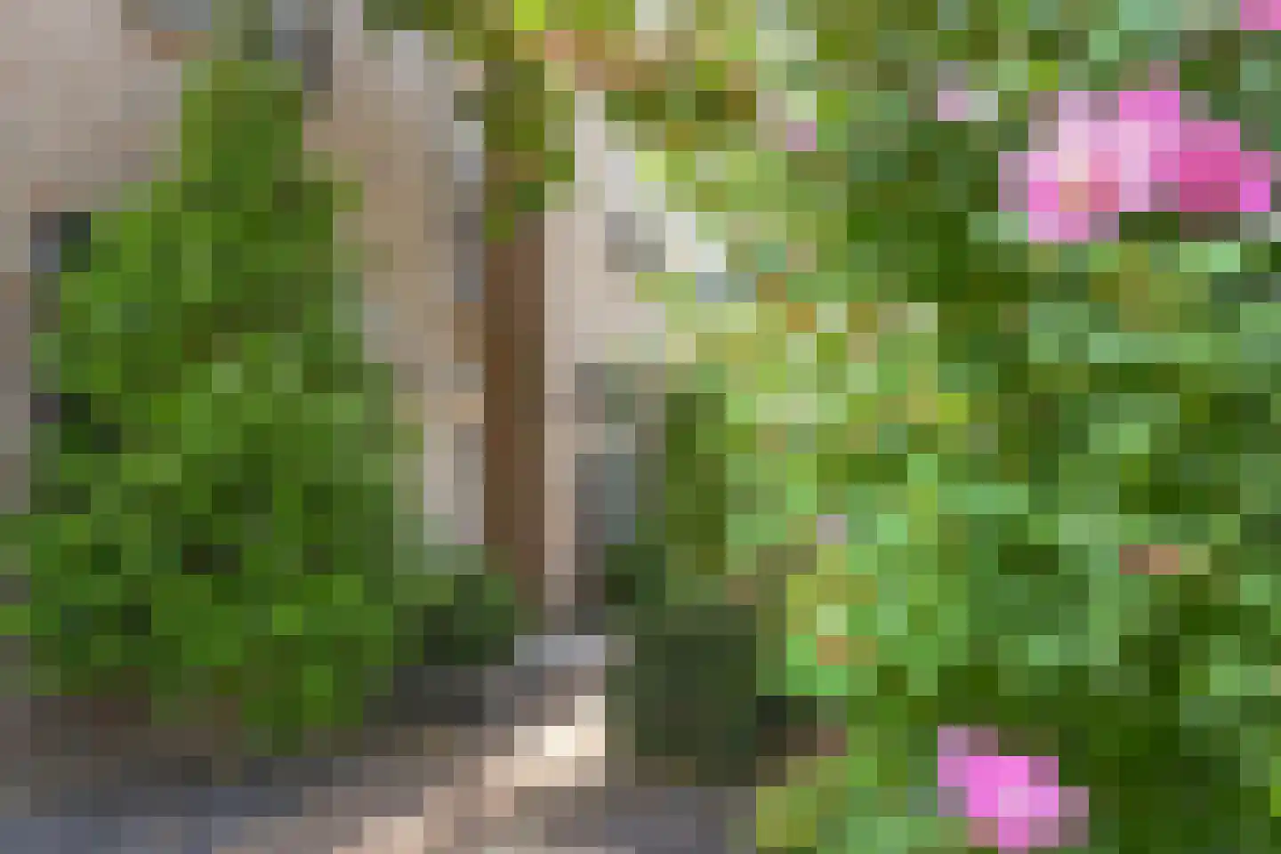 Spieker 3 Maasbree thumbnail 10