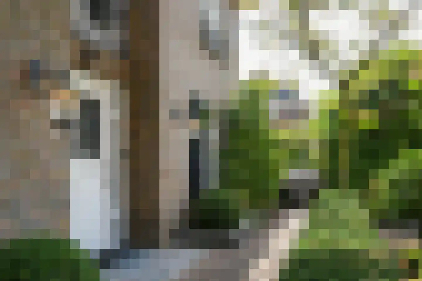 Spieker 3 Maasbree thumbnail 11