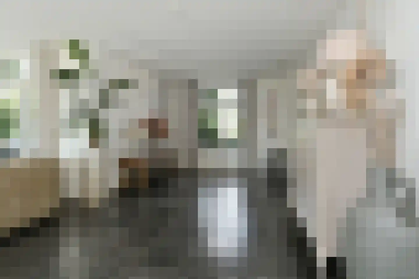 Spieker 3 Maasbree thumbnail 14