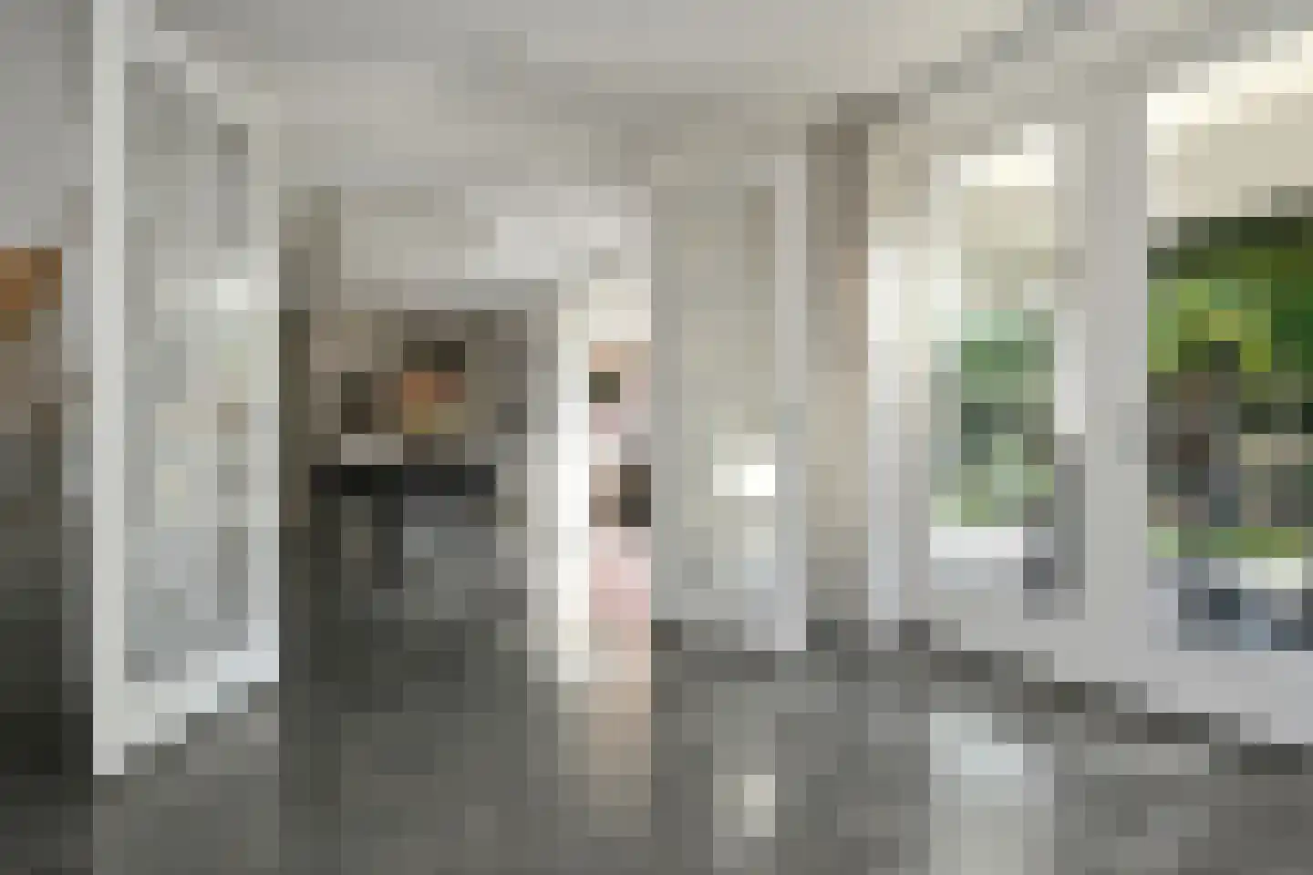 Spieker 3 Maasbree thumbnail 25