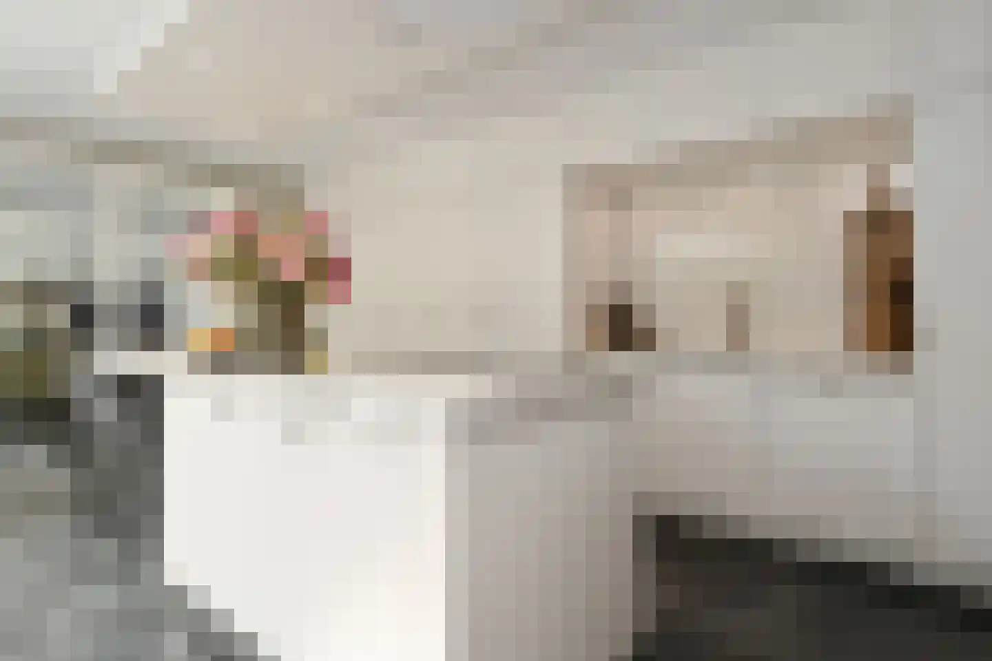 Spieker 3 Maasbree thumbnail 29