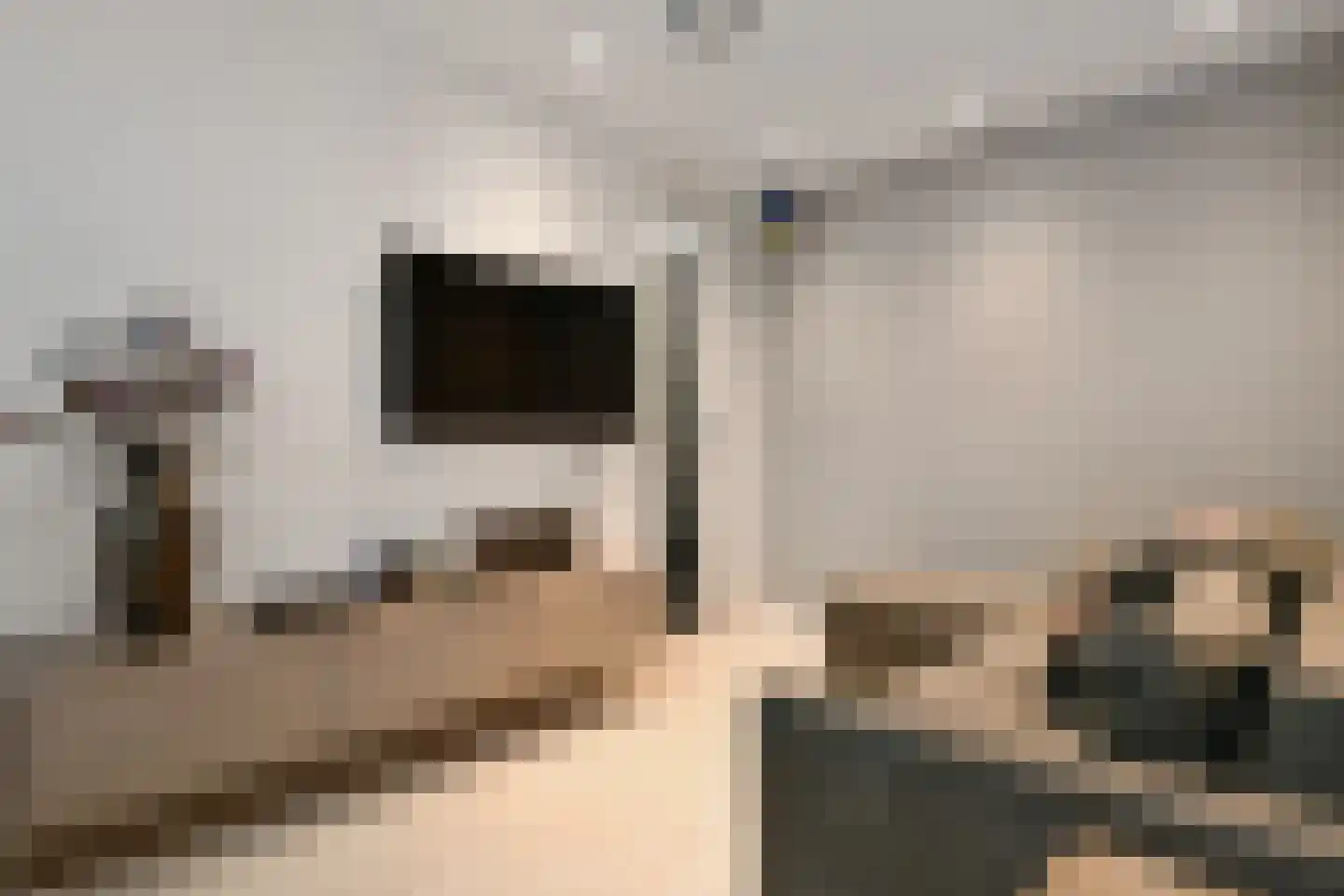 Spieker 3 Maasbree thumbnail 37