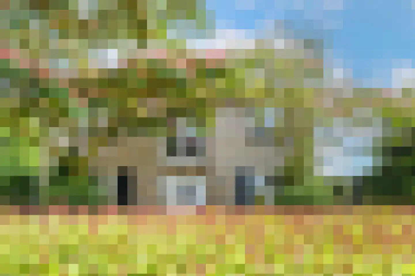 Spieker 3 Maasbree thumbnail 4