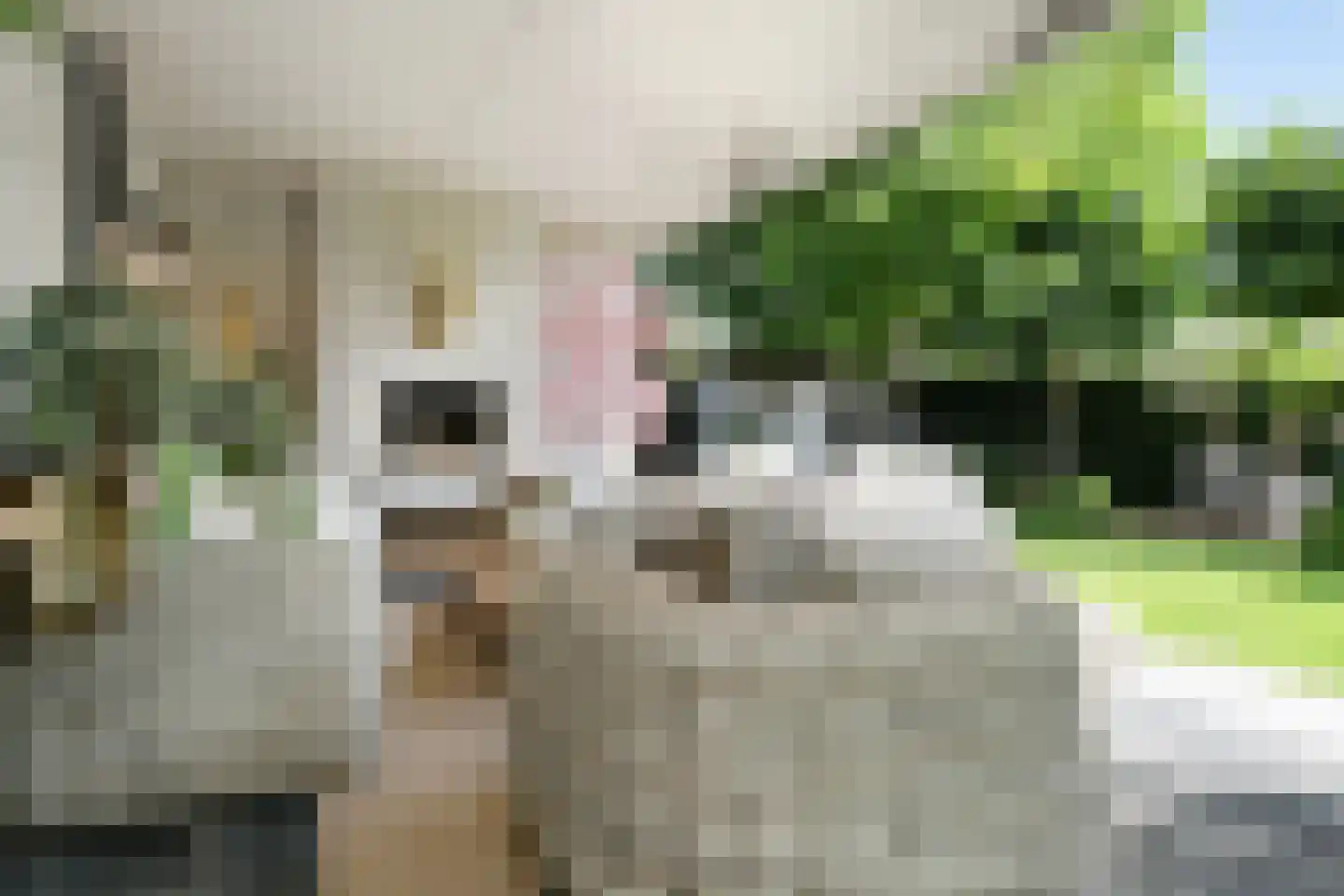 Spieker 3 Maasbree thumbnail 53