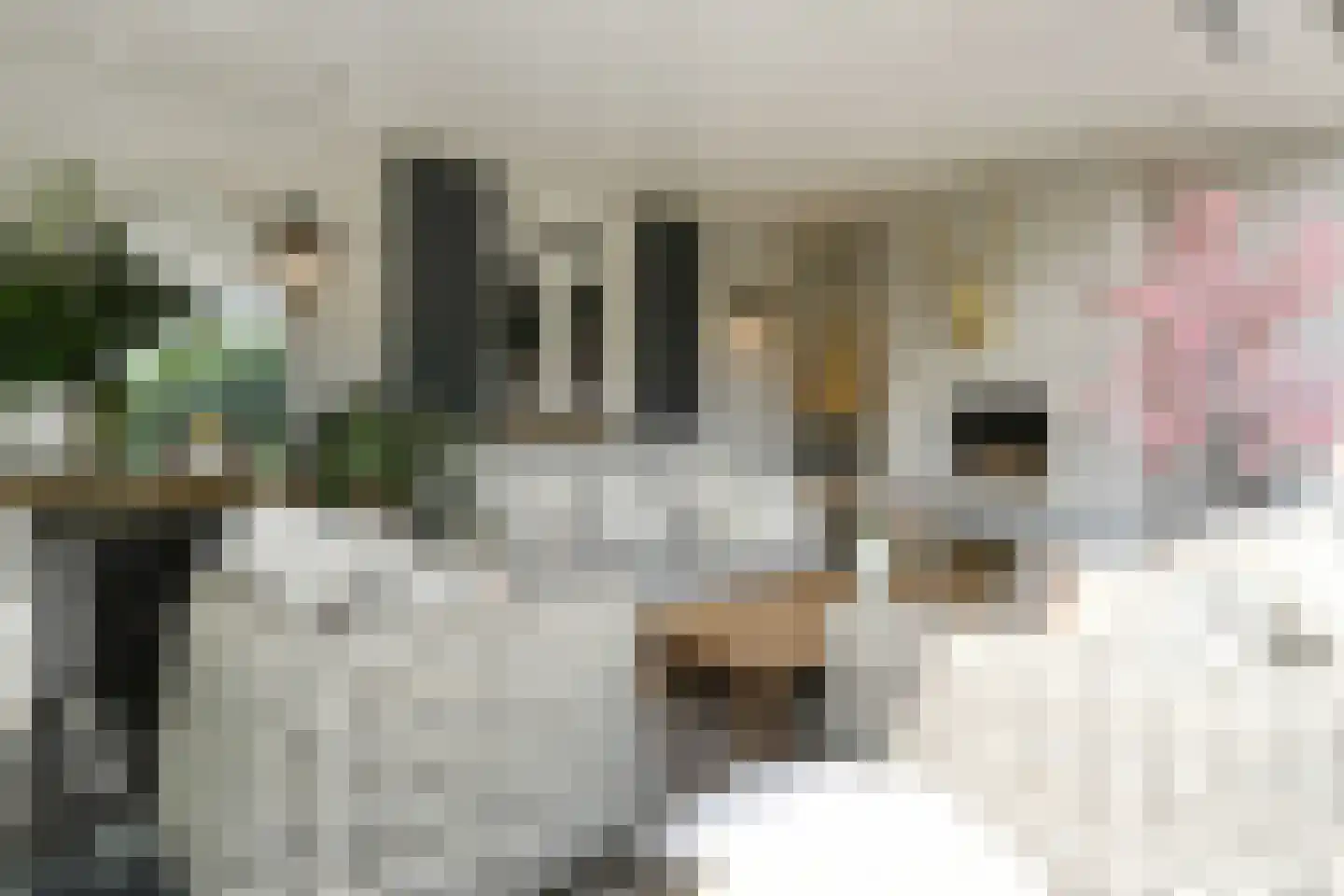 Spieker 3 Maasbree thumbnail 54