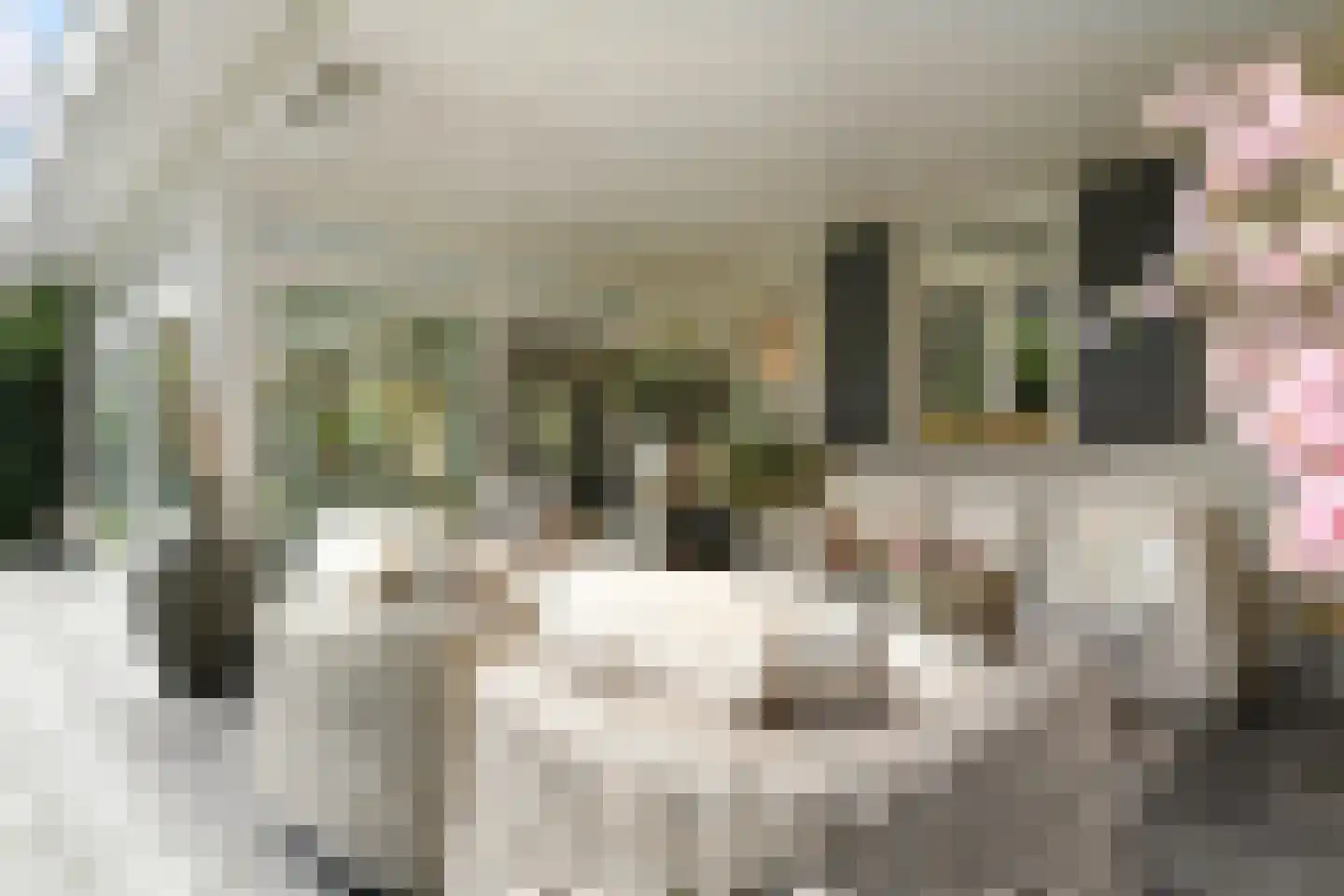 Spieker 3 Maasbree thumbnail 55