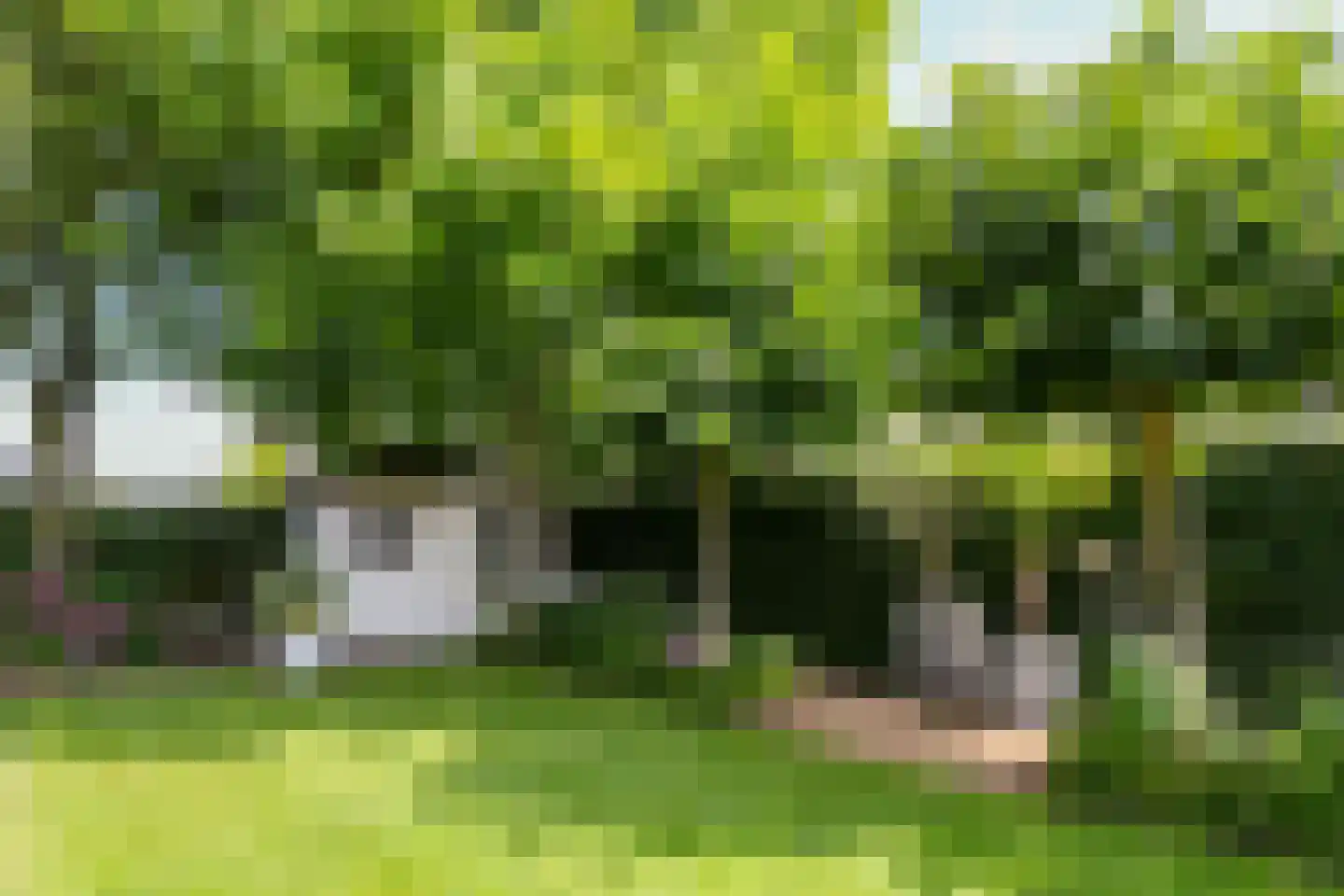Spieker 3 Maasbree thumbnail 56