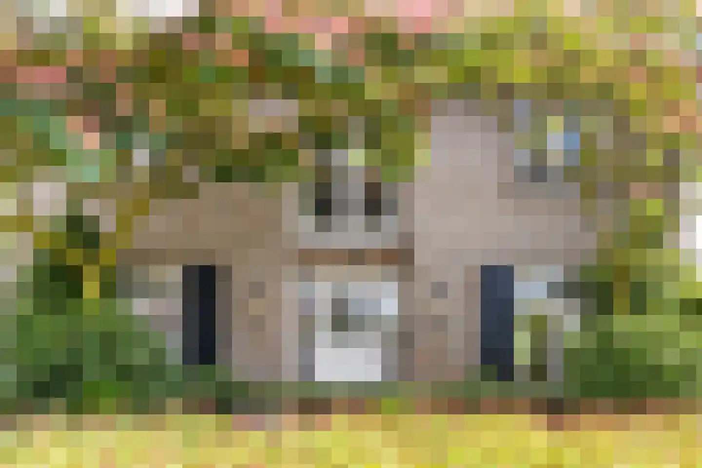 Spieker 3 Maasbree thumbnail 6