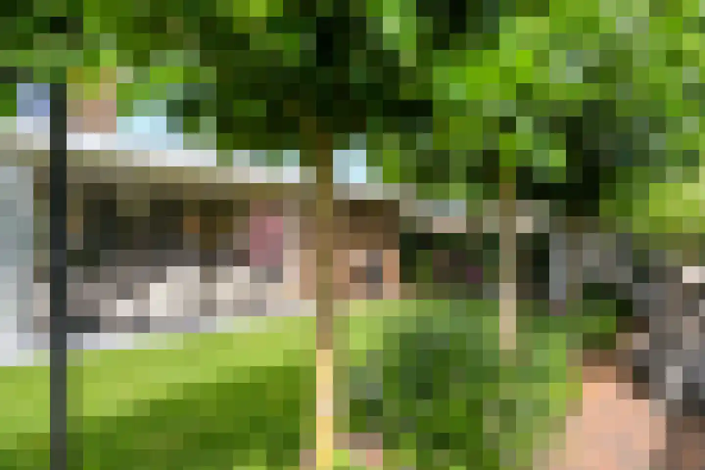 Spieker 3 Maasbree thumbnail 60