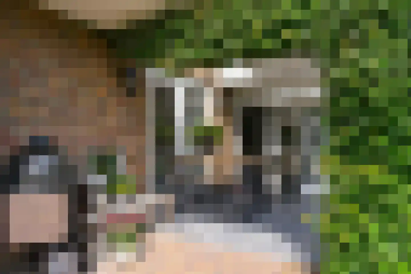 Spieker 3 Maasbree thumbnail 63