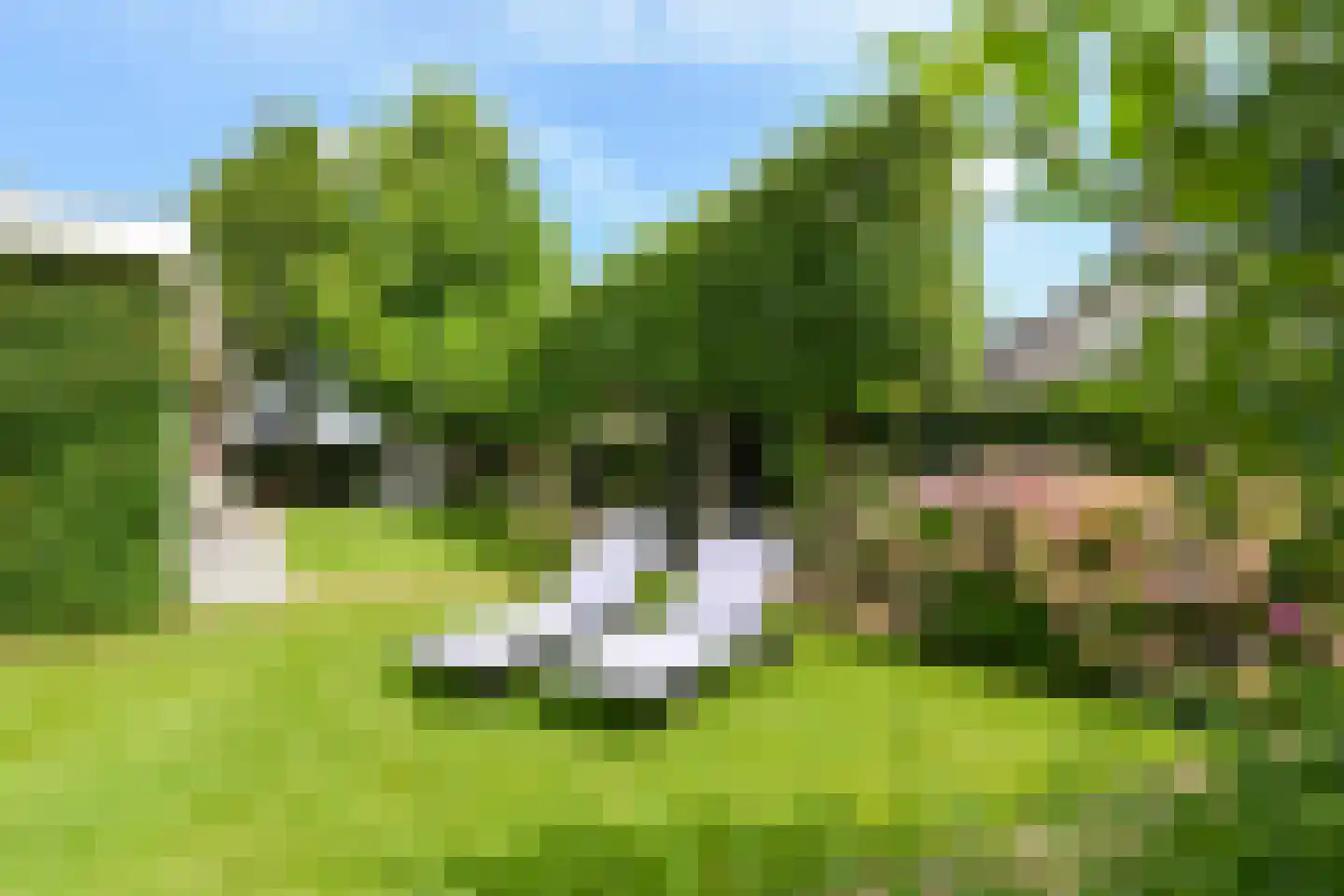 Spieker 3 Maasbree thumbnail 70