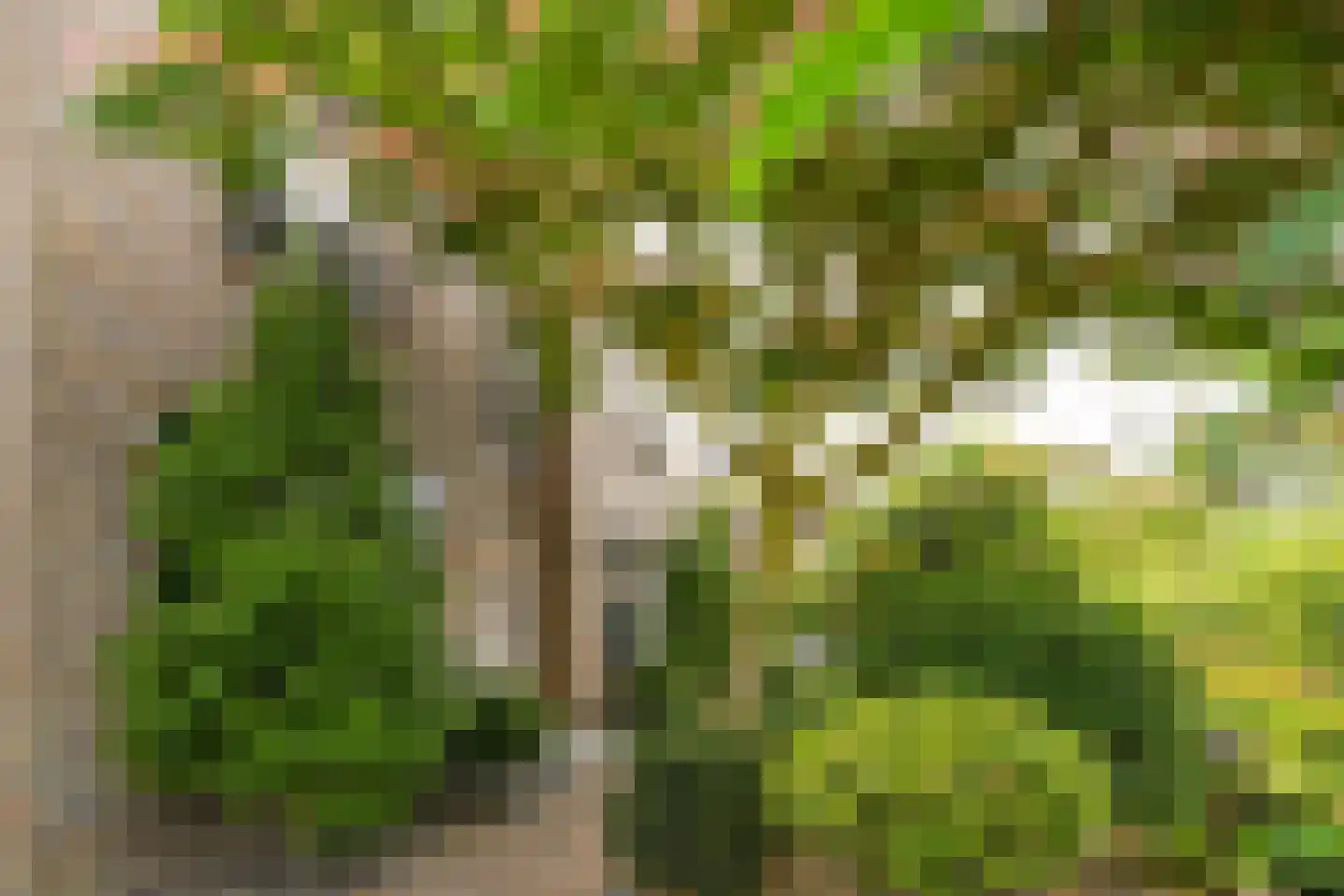 Spieker 3 Maasbree thumbnail 9
