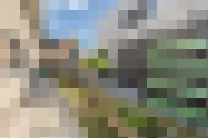 Spieker 44 Oosterhout thumbnail 35