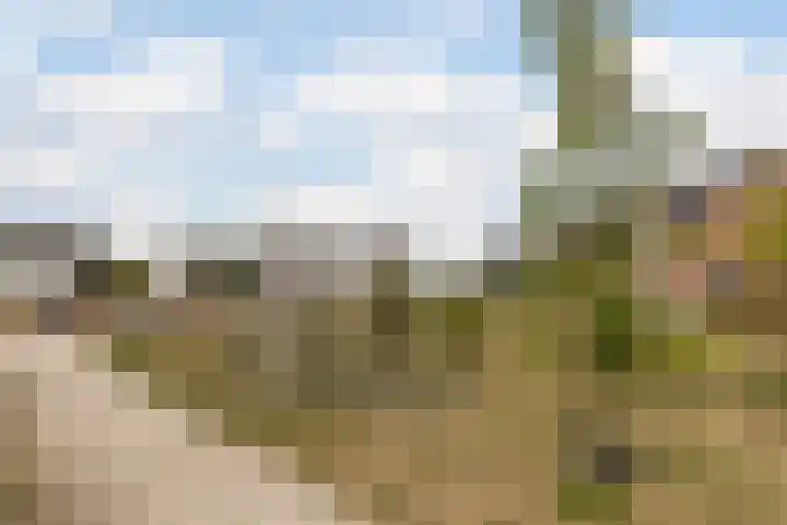 Spieker 44 Oosterhout thumbnail 42