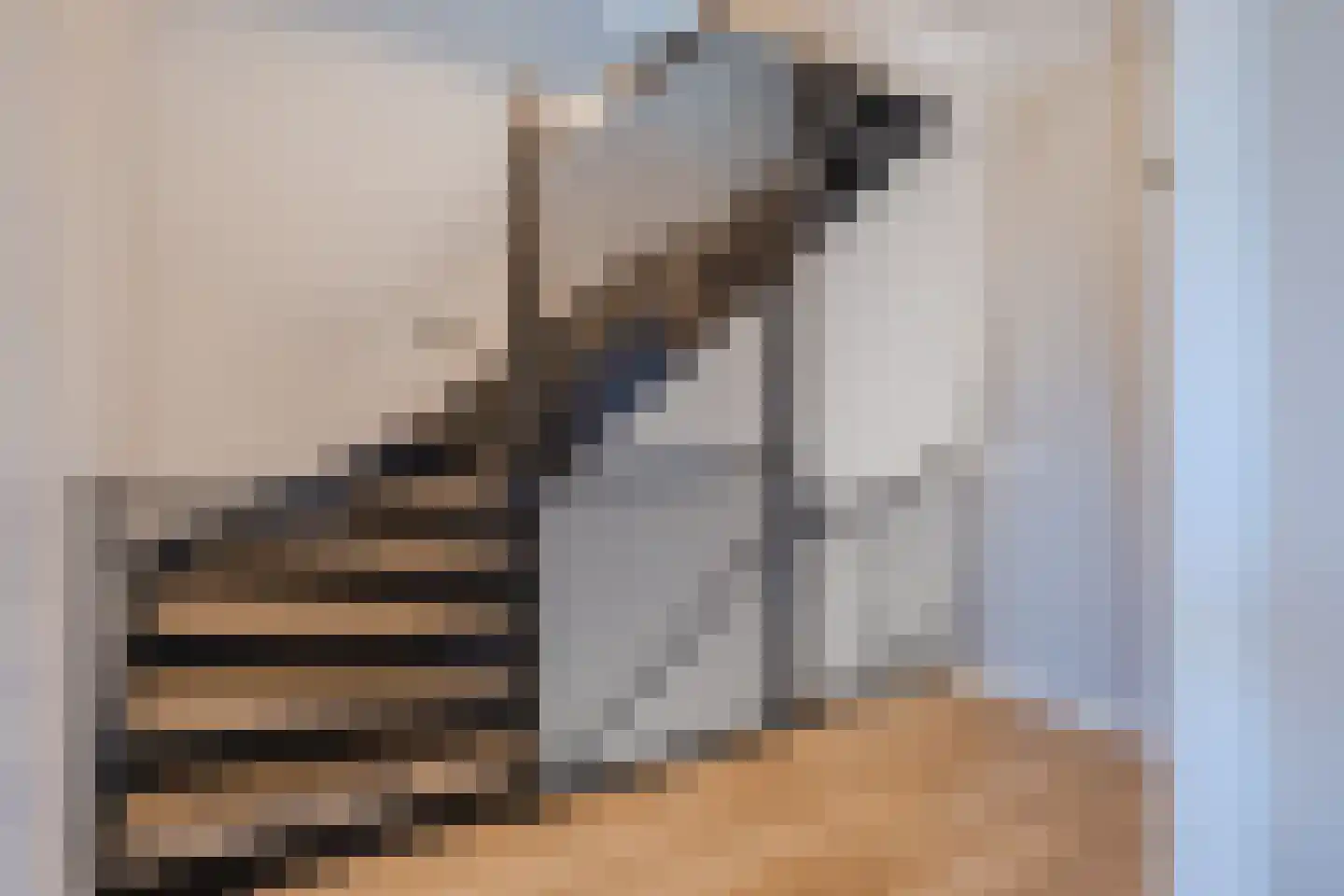 Spieker 45 Eersel thumbnail 30
