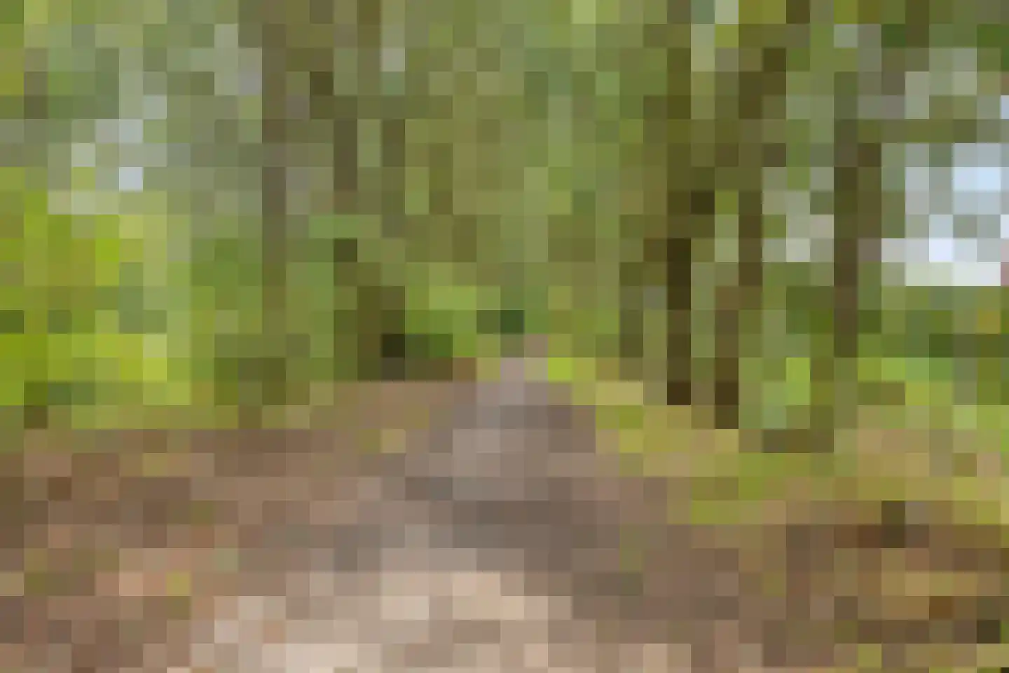 Spieker 46 Oosterhout thumbnail 32