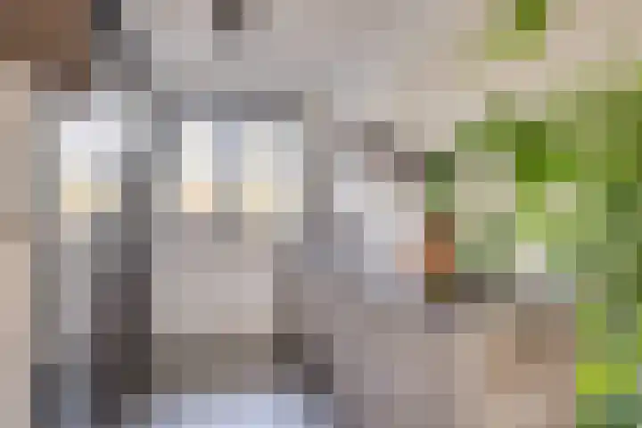 Spieker 7 Heeze thumbnail 19