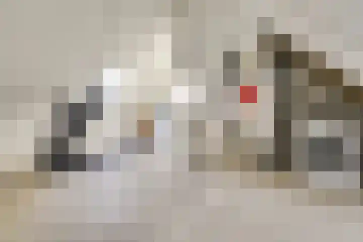 Spieker 7 Heeze thumbnail 32