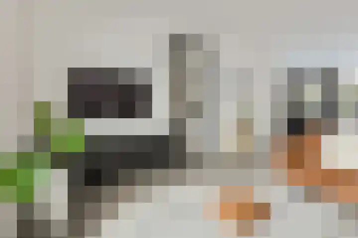 Spieker 8 Oosterhout thumbnail 10