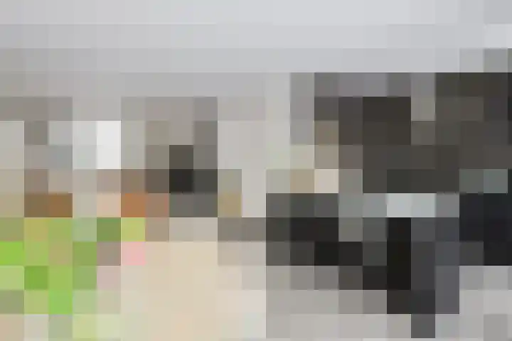 Spieker 8 Oosterhout thumbnail 15