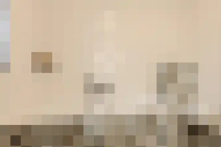 Spieker 8 Oosterhout thumbnail 26
