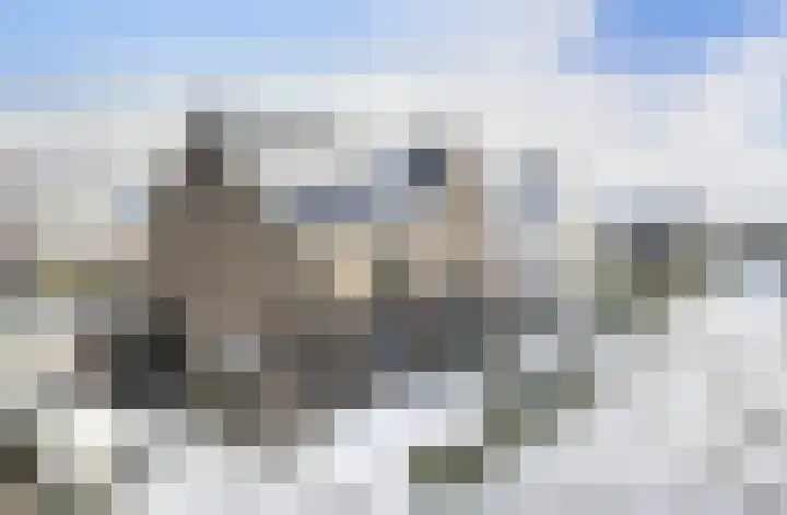 Spieker 8 Oosterhout thumbnail 51