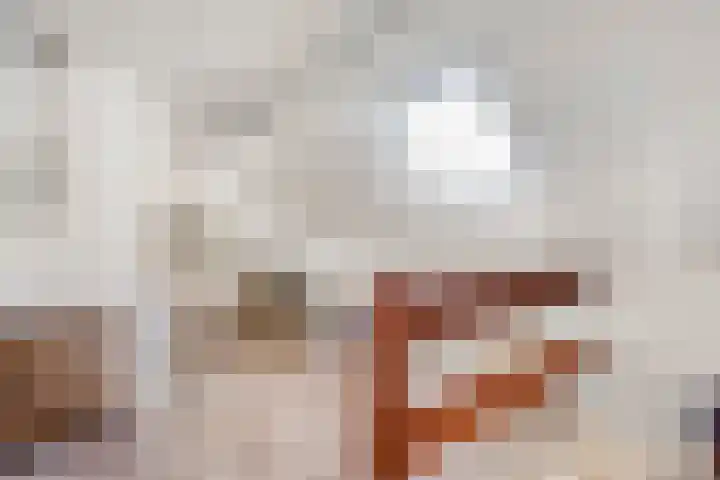 Spiekerbrink 1 Zwolle thumbnail 20