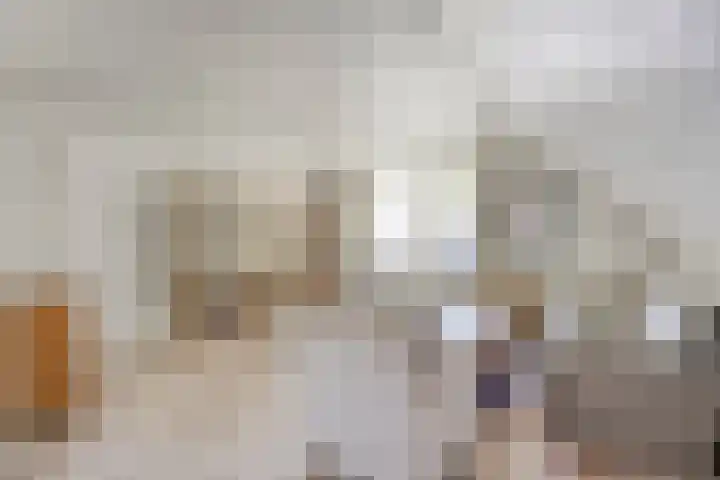 Spiekerbrink 1 Zwolle thumbnail 21