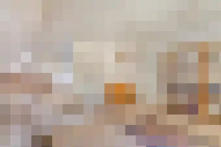 Spiekerbrink 1 Zwolle thumbnail 24