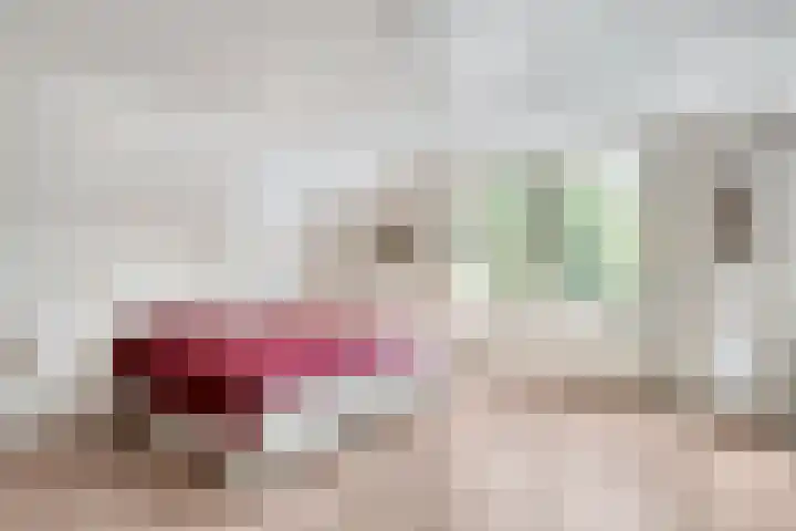 Spiekerbrink 1 Zwolle thumbnail 25