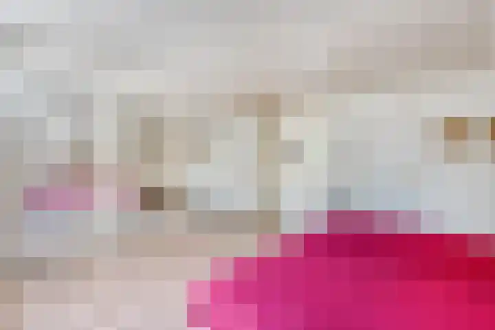 Spiekerbrink 1 Zwolle thumbnail 26
