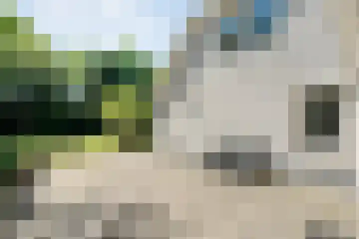 Spiekerbrink 1 Zwolle thumbnail 31