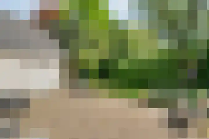 Spiekerbrink 1 Zwolle thumbnail 32