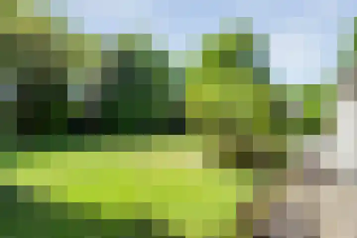 Spiekerbrink 1 Zwolle thumbnail 33