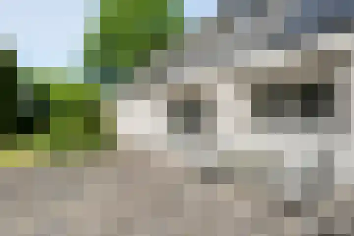 Spiekerbrink 1 Zwolle thumbnail 36