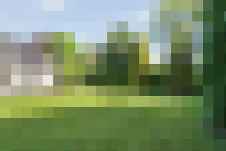 Spiekerbrink 1 Zwolle thumbnail 37