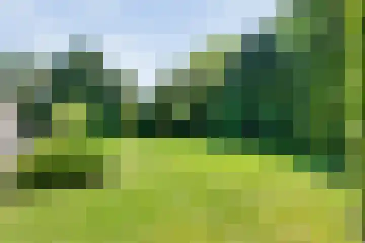 Spiekerbrink 1 Zwolle thumbnail 38