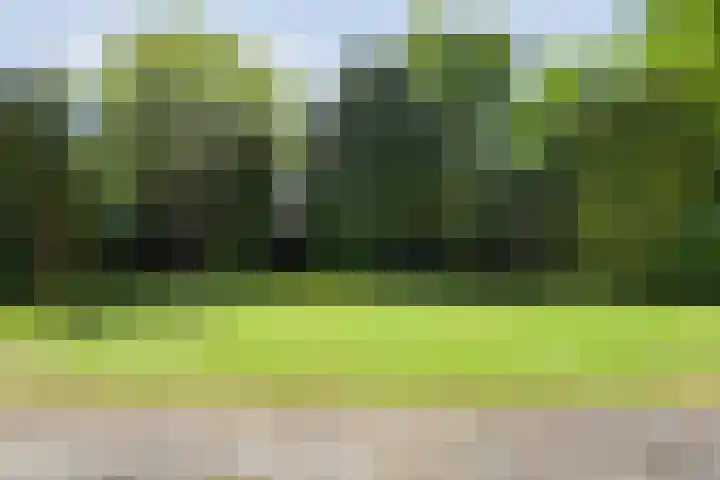Spiekerbrink 1 Zwolle thumbnail 39