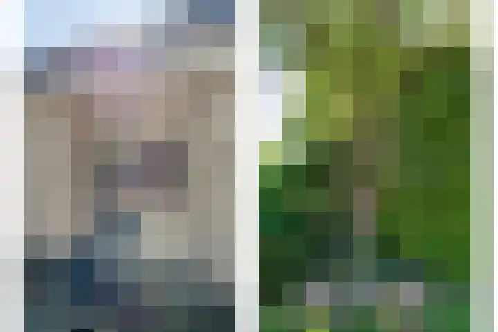 Spiekerbrink 1 Zwolle thumbnail 4