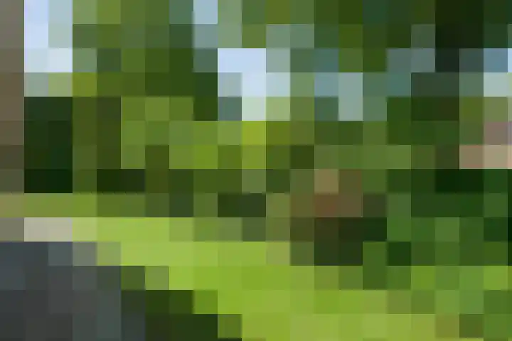 Spiekerbrink 1 Zwolle thumbnail 40