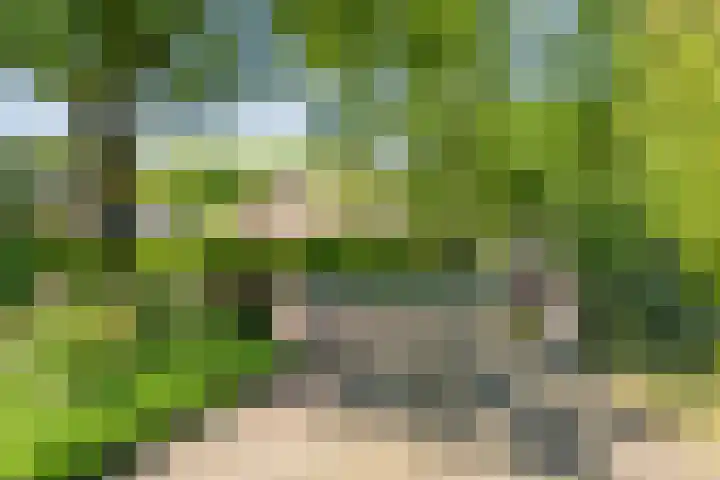 Spiekerbrink 1 Zwolle thumbnail 41
