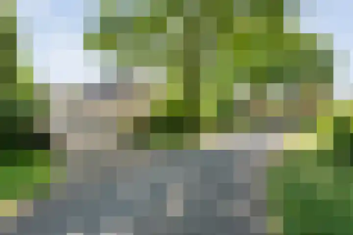 Spiekerbrink 1 Zwolle thumbnail 43
