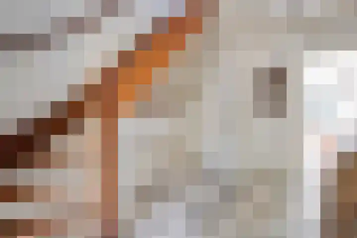 Spiekerbrink 1 Zwolle thumbnail 6