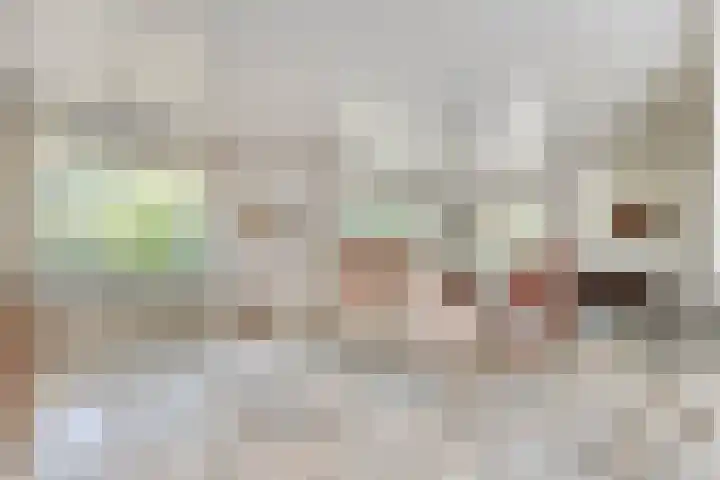 Spiekerbrink 1 Zwolle thumbnail 7