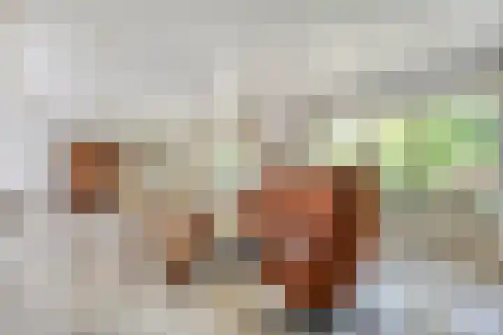 Spiekerbrink 1 Zwolle thumbnail 8