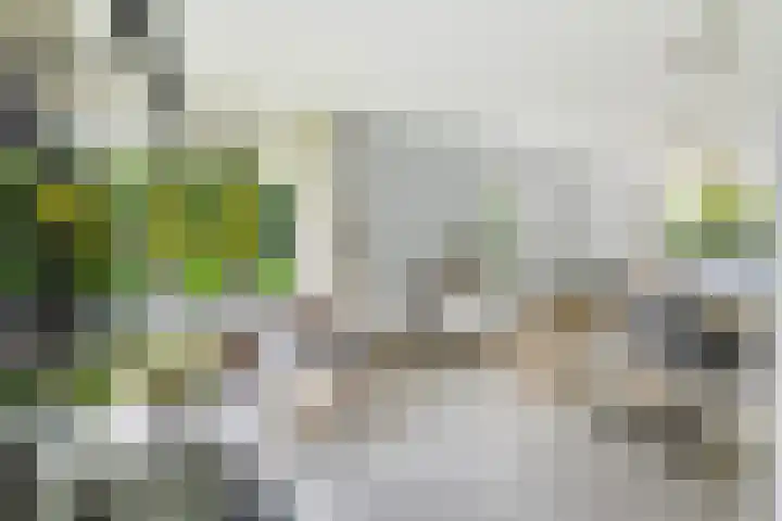 Spiekerbrink 40 Zwolle thumbnail 10